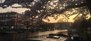 preview-boat-amsterdam-tour