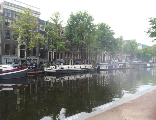 אמסטרדם סלב