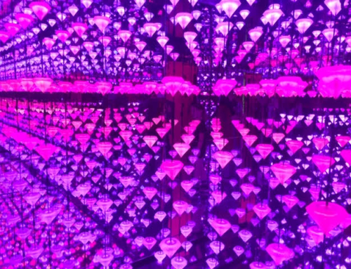 מוקו | ביקור במוזיאון